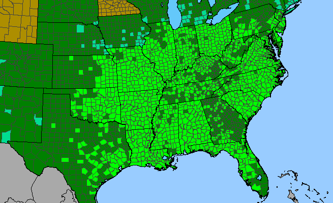The range of Campsis radicans